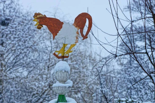屋根の上に着色された鉄の雄鶏の形で天気ベーン — ストック写真