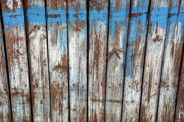 오래된 울타리의 파란색 — 스톡 사진