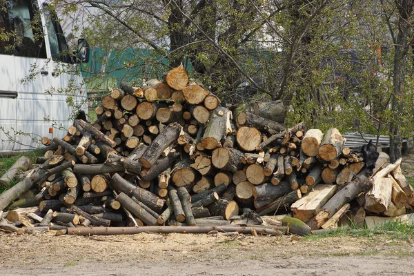 Ein Auf Der Straße Liegender Haufen Brauner Baumstämme Und Brennholz — Stockfoto