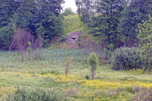 Ağaçlar Çimenler Ile Bir Tepeüzerinde Askeri Pillbox Eski Embrasure — Stok fotoğraf