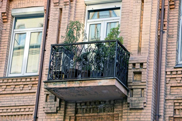 Żelazny Balkon Doniczki Zielonymi Roślinami Oknem Brązowej Ścianie — Zdjęcie stockowe