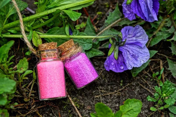 Twee Kleine Glazen Flessen Met Rood Zand Tussen Kruiden Planten — Stockfoto