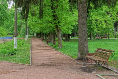 kahverengi ahşap bir bank ve bir vazo yeşil çim ve ağaçlar arasında parkta bir sokakta duruyor