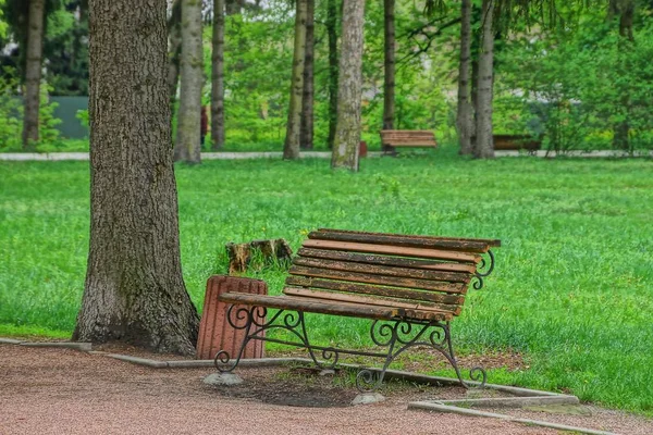 Kahverengi Ahşap Bank Bir Vazo Yeşil Çim Ağaçlar Arasında Parkta — Stok fotoğraf