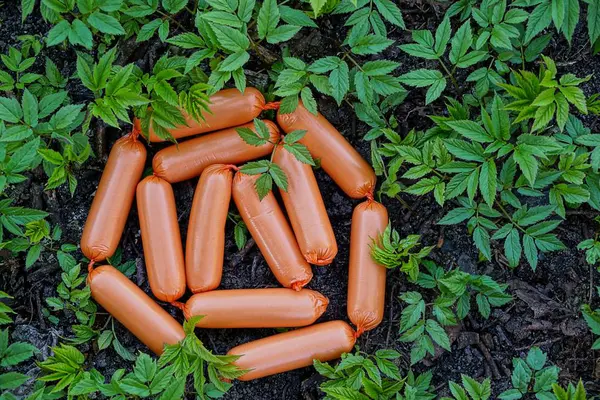 Conjunto Salsichas Chão Entre Plantas Verdes — Fotografia de Stock