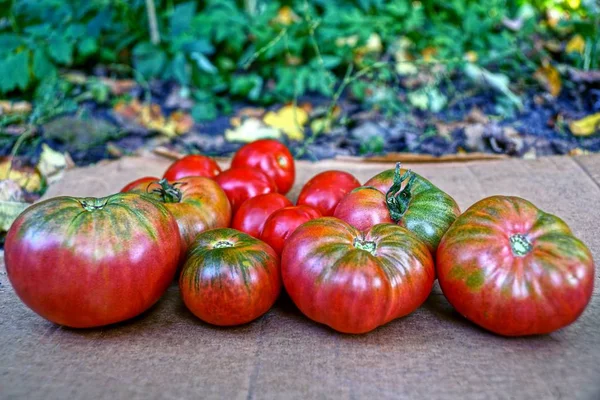 Tomates Vermelhos Maduros Uma Folha Papel Marrom — Fotografia de Stock