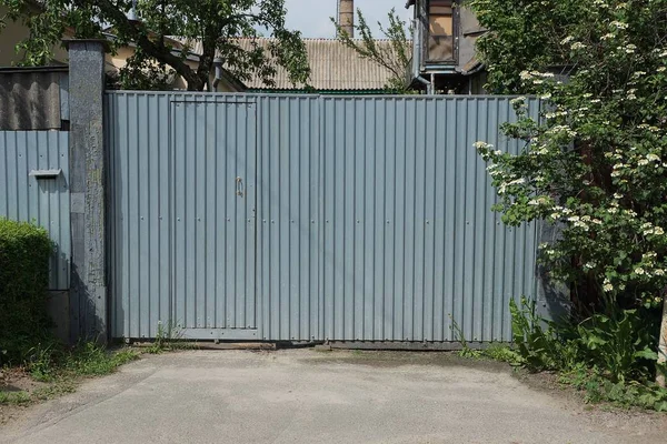 Puerta Metal Gris Con Vegetación Verde Calle Cerca Carretera Asfalto — Foto de Stock