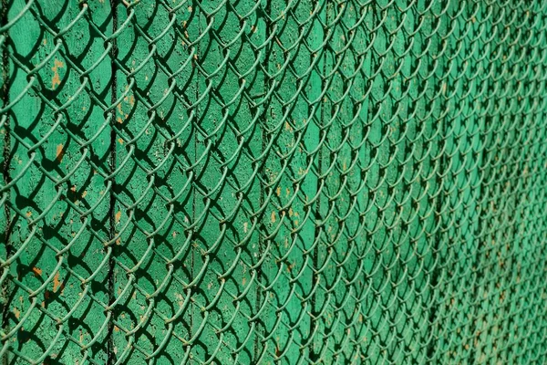 Зеленая Сетка Зеленый Деревянный Забор — стоковое фото