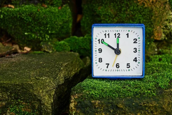 Petite Horloge Carrée Tient Sur Des Pierres Recouvertes Mousse — Photo