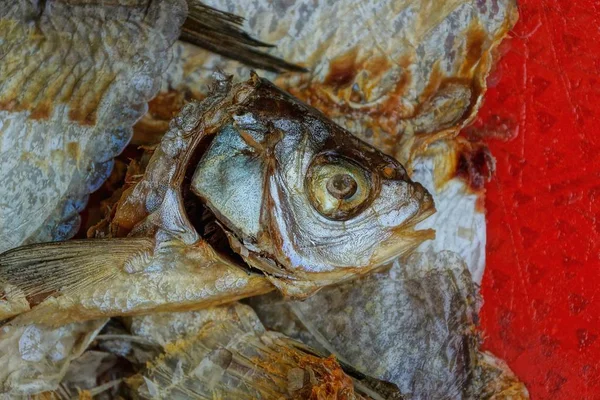 Müll Von Einem Haufen Fischstücken Aus Knochen Und Köpfen Auf — Stockfoto