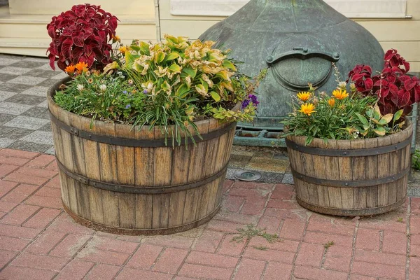 Dos Maceta Marrón Madera Con Flores Acera Calle — Foto de Stock