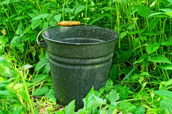 black metal enamelled bucket of water stands in green grass in the garden
