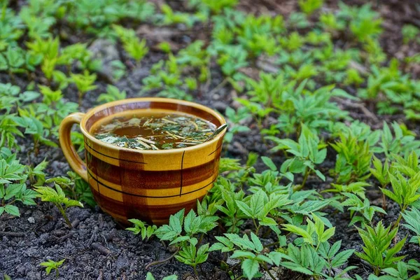 Bir Fincan Çay Ayakta Yeşil Bitki Örtüsü Arasında — Stok fotoğraf