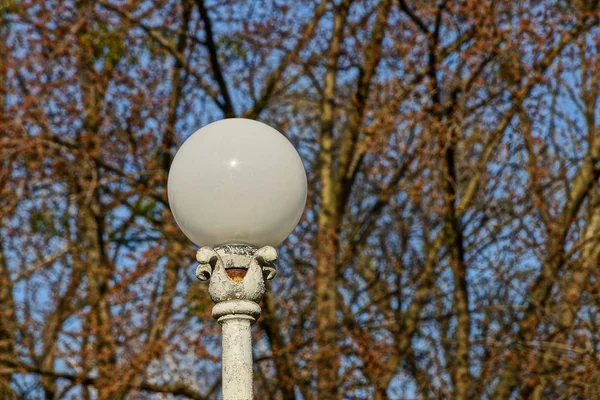 Street Lamp Spring Park — Stock Photo, Image
