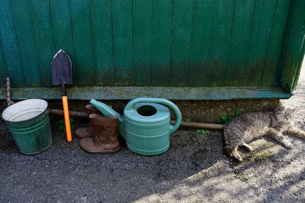 Narzędzie Ogrodowe Szary Kot Pobliżu Drewnianej Ściany Domu — Zdjęcie stockowe