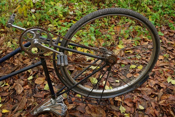 Açık havada kuru çim bir tekerlek ile ters eski bisiklet