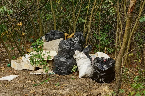 Dirty Bags Trash Tree Grass Forest — Stock Photo, Image