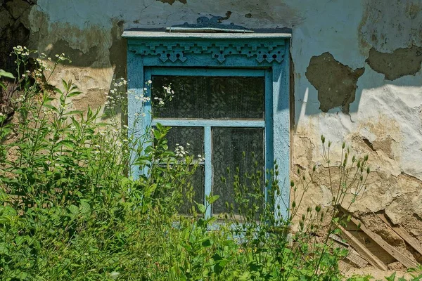 Одне Старе Синє Дерев Яне Вікно Сірій Стіні Вирощене Зеленою — стокове фото