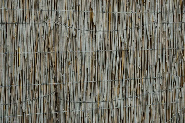Сіра Дерев Яна Текстура Сухого Тонкого Тростини Стіні — стокове фото