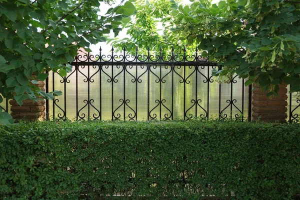 part of the metal fence of black sharp rods and brown bricks in green vegetation and ornamental shrub