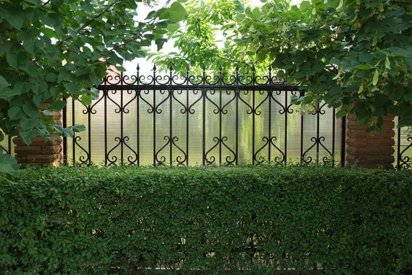 Part Metal Fence Black Sharp Rods Brown Bricks Green Vegetation — Stock Photo, Image