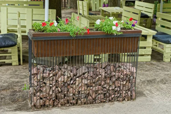 Brauner Topf Mit Dekorativen Roten Blumen Auf Der Straße Sand — Stockfoto