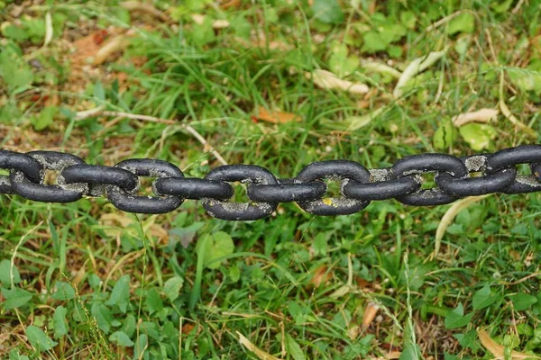 black long iron chain on green grass outside