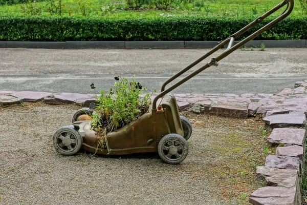 Landskap Från Gammal Brun Gräsklippare Överväxt Med Blommor Och Gräs — Stockfoto