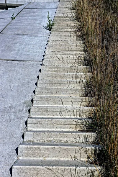 texture of old gray concrete steps on the street