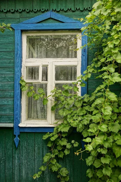 Staré Okno Zelené Dřevěné Stěně Listy — Stock fotografie