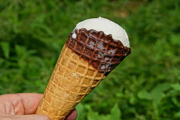 Dedos Segurar Sorvete Branco Uma Xícara Marrom Fundo Verde Vegetação — Fotografia de Stock