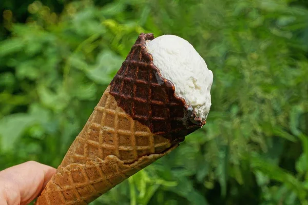 fingers hold white ice cream in a brown cup on a green background