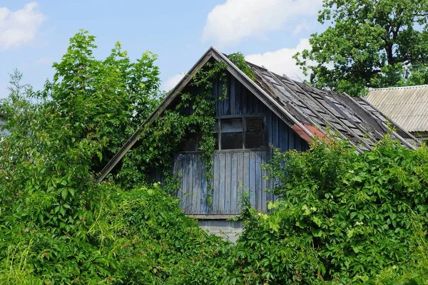 Stará Dřevěná Půda Oknem Zarostlý Zelenou Vegetací Obloze — Stock fotografie