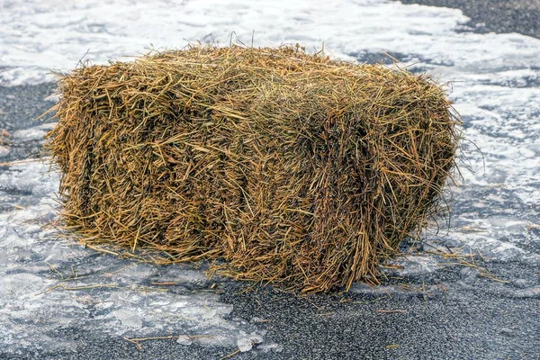 Bale Dry Hay Snow — Stock Photo, Image