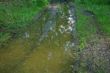  ormanda yolda kirli su ile su birikintisi