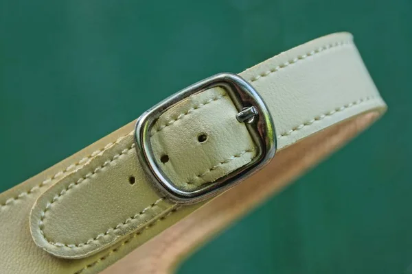 brown leather strap with gray metallic clasp on shoes on a green background