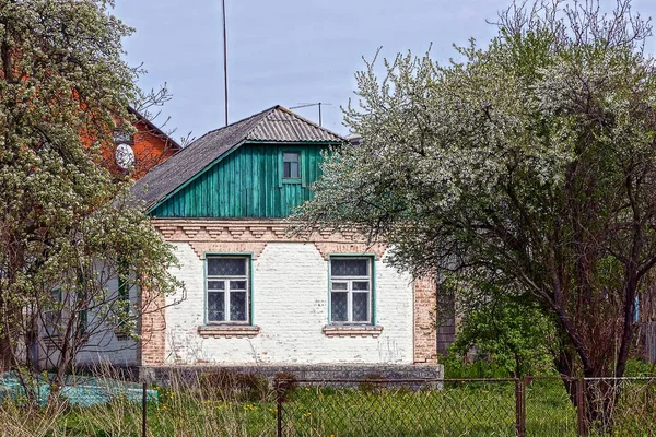 Old Rural House Blooming Garden — Stock Photo, Image