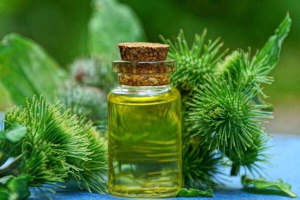 Маленькая стеклянная бутылка с желтым маслом и зелеными бутонами и листьями лопуха на столе
