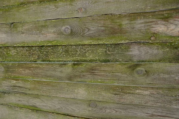 从薄的老栅栏板彩色木纹理 — 图库照片