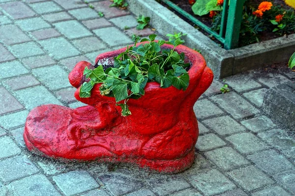 Jarrón Hormigón Rojo Forma Bota Con Plantas Acera — Foto de Stock