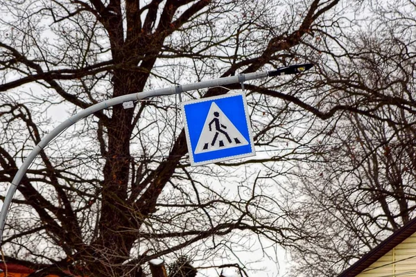 Señal Tráfico Paso Peatonal Fondo Ramas Árboles —  Fotos de Stock