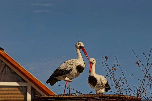 Décoration Cigogne Jouet Dans Nid — Photo