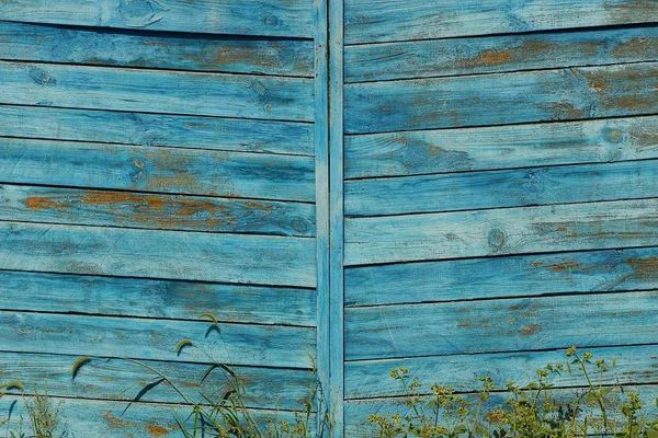 blue wooden texture of old thin fence boards