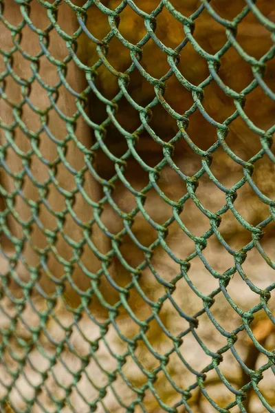 Stålnät Staketet Gården Vid Stugan — Stockfoto