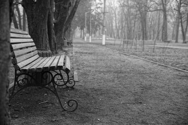 Gri ahşap tezgah bir sonbahar parkında