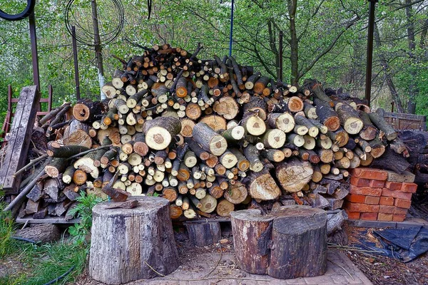 Hof Mit Baumstämmen Und Brennholz Garten — Stockfoto