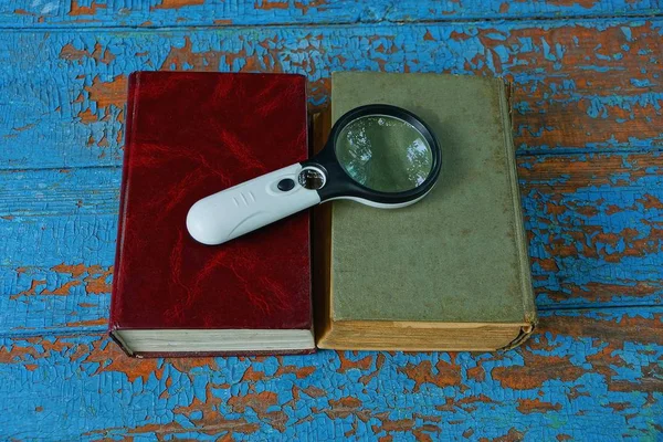 Lupa Encuentra Dos Libros Con Una Cubierta Roja Verde — Foto de Stock