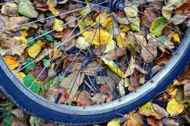 Bir parkta düşen yaprakları üzerinde bir bisiklet tekerleği parçası