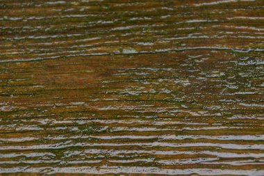 Islbeyaz kahverengi bir tahtanın ahşap dokusu