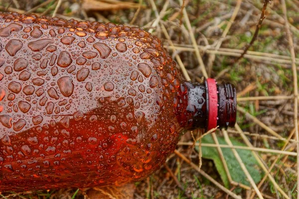 水滴の草の中の空のペットボトル — ストック写真